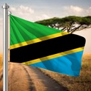 Hoist flag