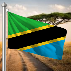 Hoist flag
