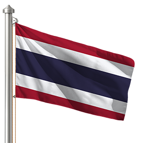 Hoist flag