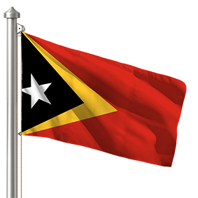 Hoist flag