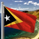 Hoist flag