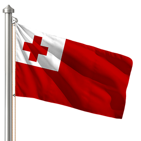 Hoist flag