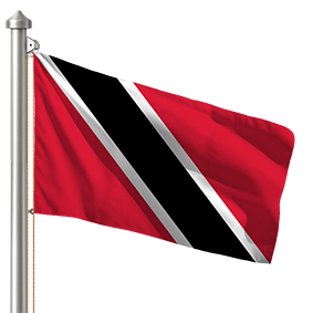 Hoist flag