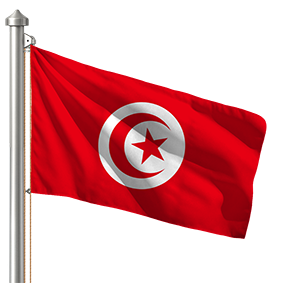 Hoist flag