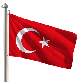 Hoist flag