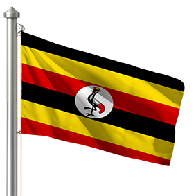 Hoist flag