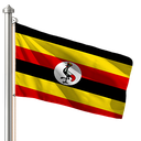 Hoist flag