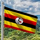 Hoist flag