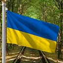 Hoist flag