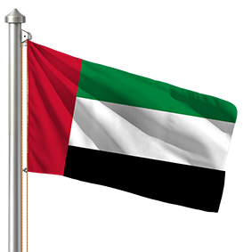 Hoist flag