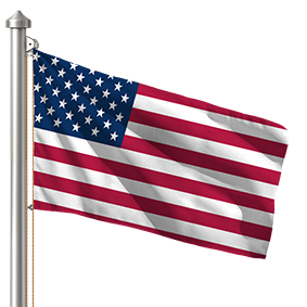 Hoist flag