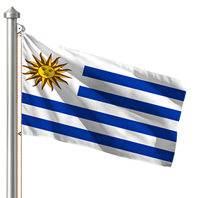 Hoist flag