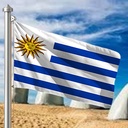 Hoist flag