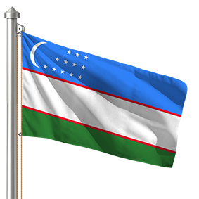 Hoist flag