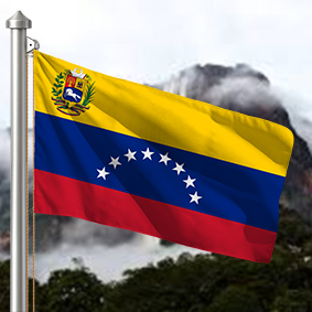 Hoist flag