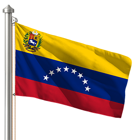 Hoist flag