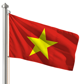 Hoist flag