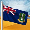 Hoist flag