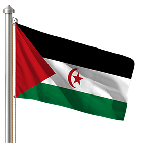 Hoist flag