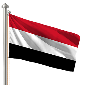 Hoist flag