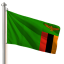 Hoist flag