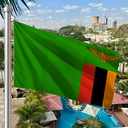 Hoist flag