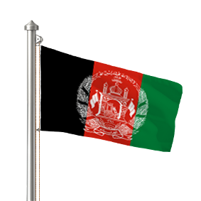 Hoist flag