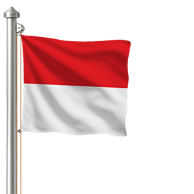 Hissfahne