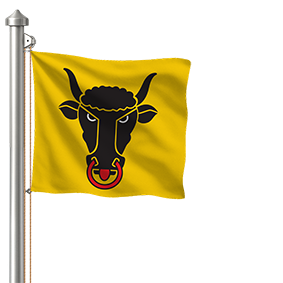Drapeau hissé