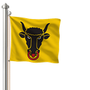 Hoist flag