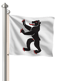Drapeau hissé